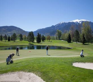 Camp de golf