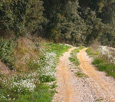 camins casa rural