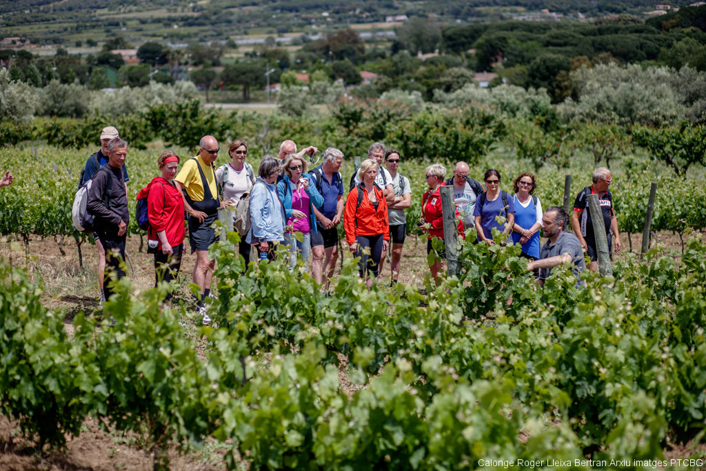vins DO Emporda